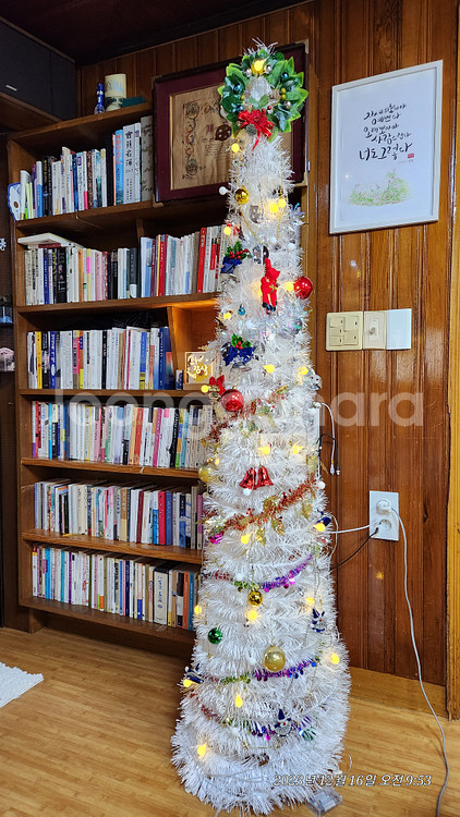 크리스마스트리 트리 장식 세트--0