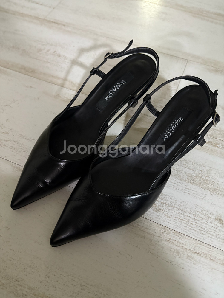 레이첼콕스 구두 250--2