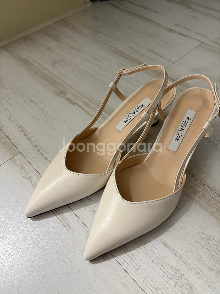 레이첼콕스 구두 250--0