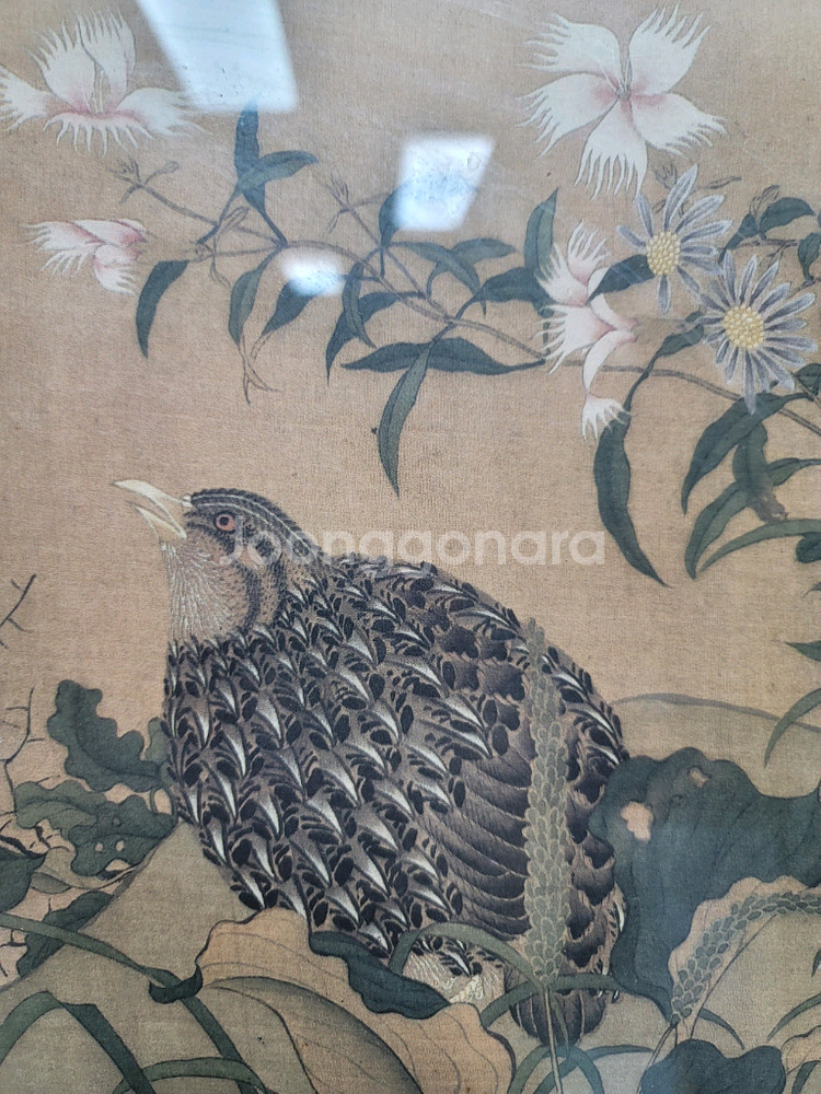 청나라 조보주 메추라기그림 영인본--5