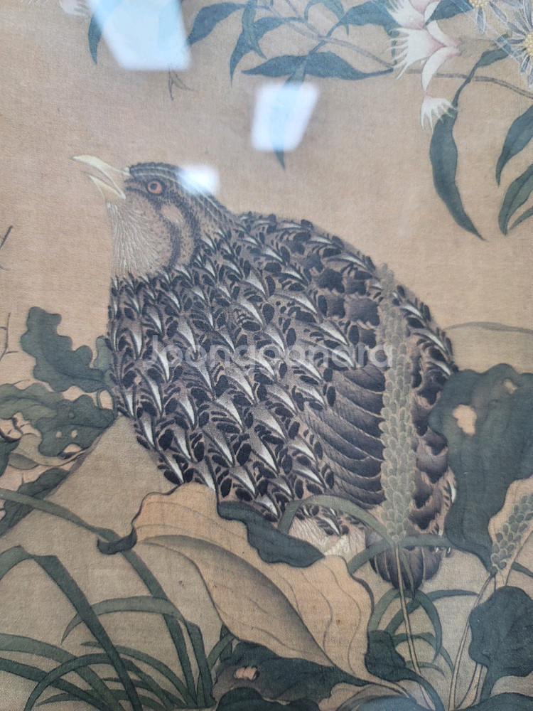 청나라 조보주 메추라기그림 영인본--3