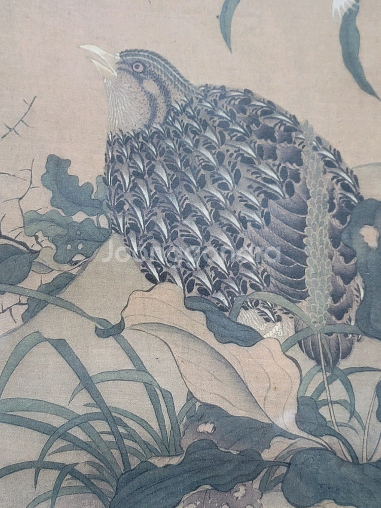 청나라 조보주 메추라기그림 영인본--7