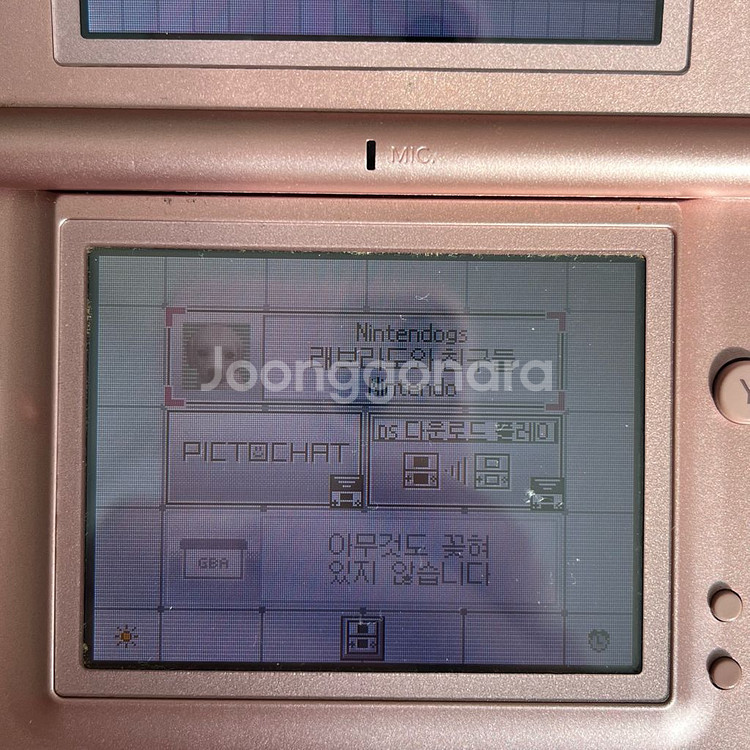 닌텐도 DS 닌텐독스 레브라도와 친구들 곽칩--2