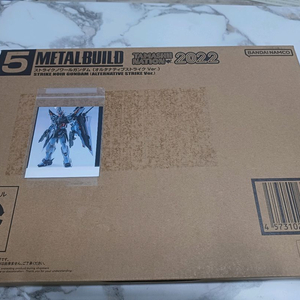 메탈빌드 스트라이크 느와르