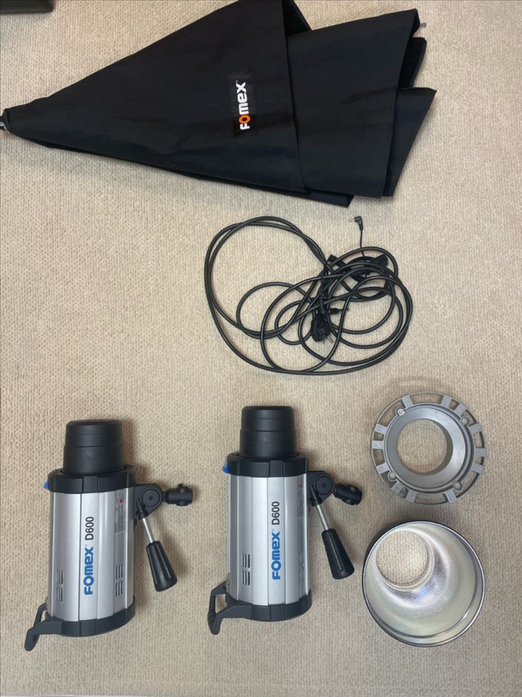 포맥스 D600 플래시 조명 세트 이미지