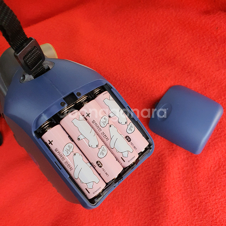 후지 인스탁스 와이드200--5