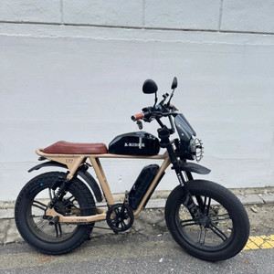 베이지 한정판 엑스라이더 X200S 풀튜닝 전기자전거 자토바이 급매 (프로 Pro BS슬릭 BR3 혼다 모토벨로 급