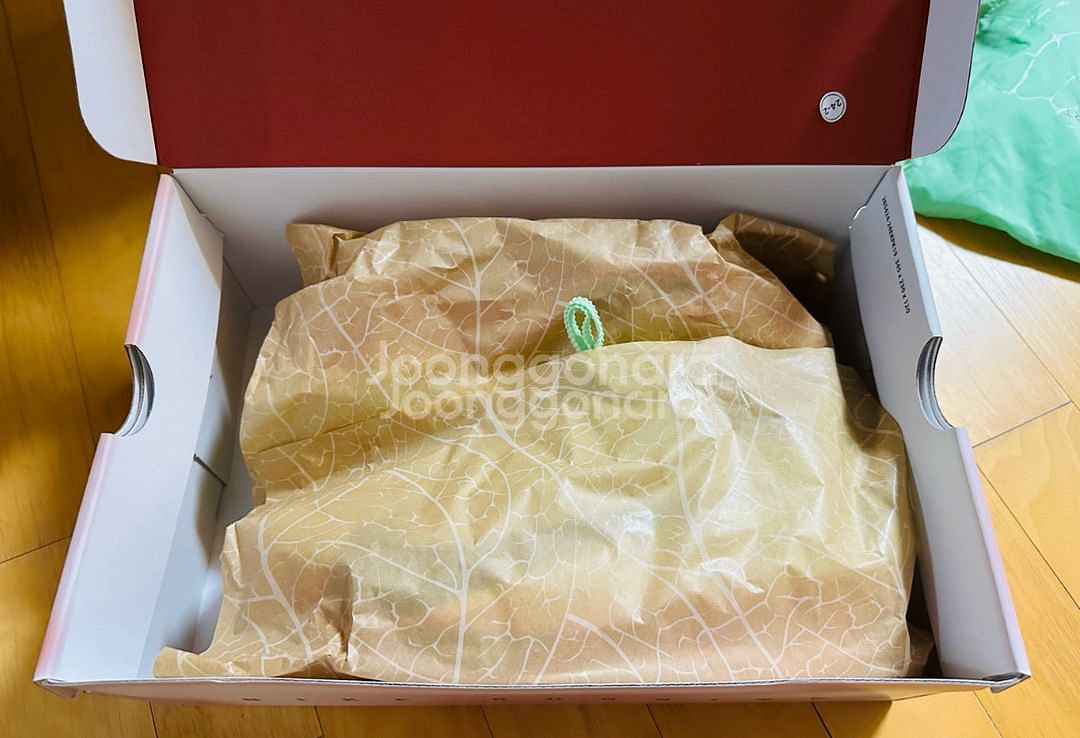 나이키 알파플라이 3 킵초게 에디션 270 사이즈--2