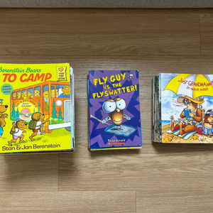 영어 원서 3종일괄(베렌스타인 베어즈, 플라이가이, 리틀크리터)