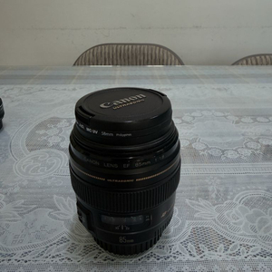 캐논 EF USM 렌즈들