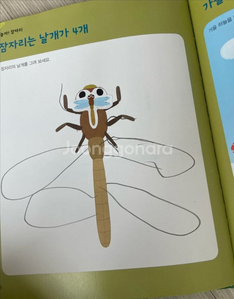 그레이트북스 놀라운 자연 자연관찰 전집 (택포)--2