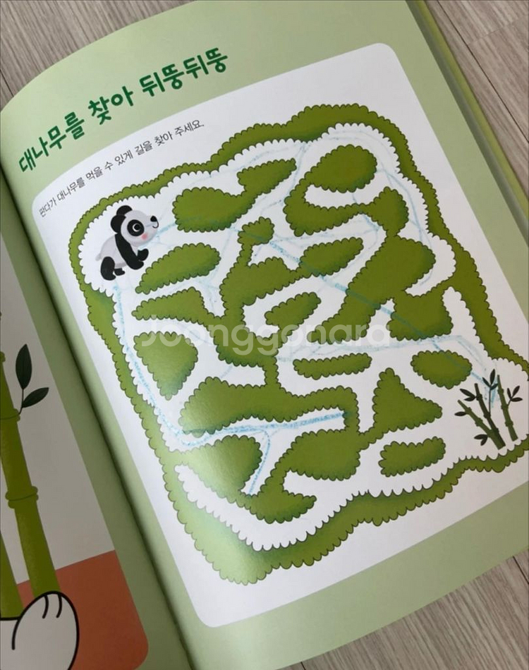 그레이트북스 놀라운 자연 자연관찰 전집 (택포)--3