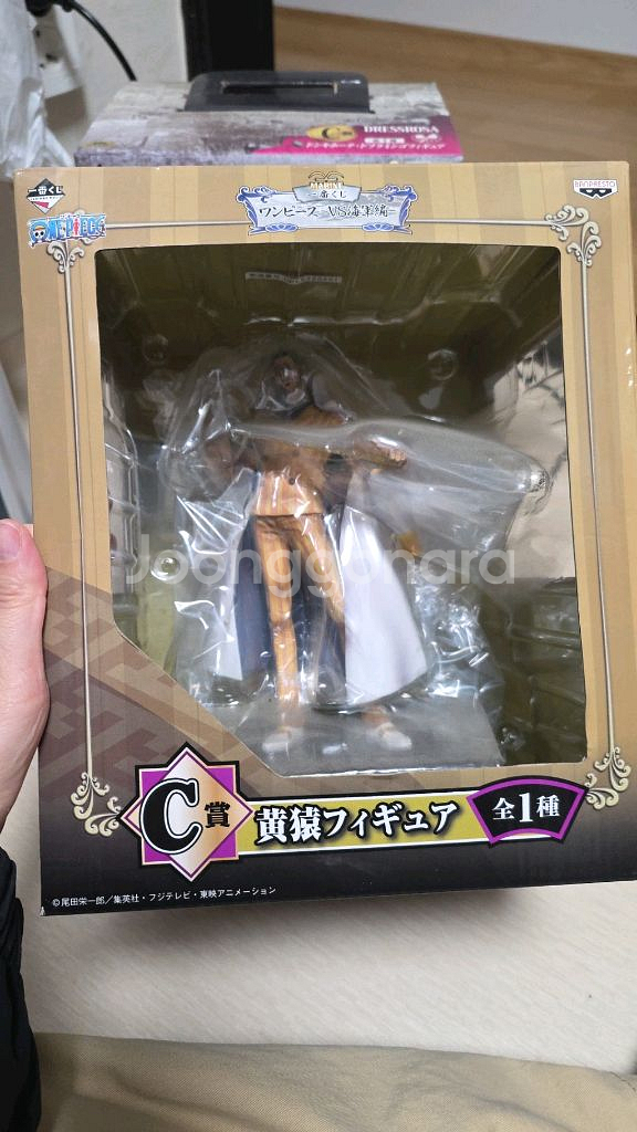 애니메이션 캐릭터 C상 피규어--0