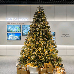 크리스마스 트리 대여 해드립니다.