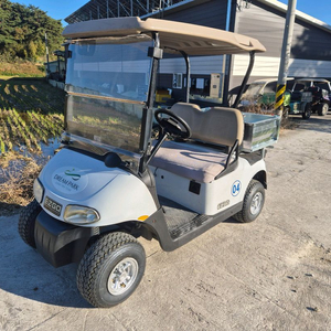 이지고 rxv 2인용 골프카트 화물카트