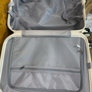 비즈니스 캐리어 20인치