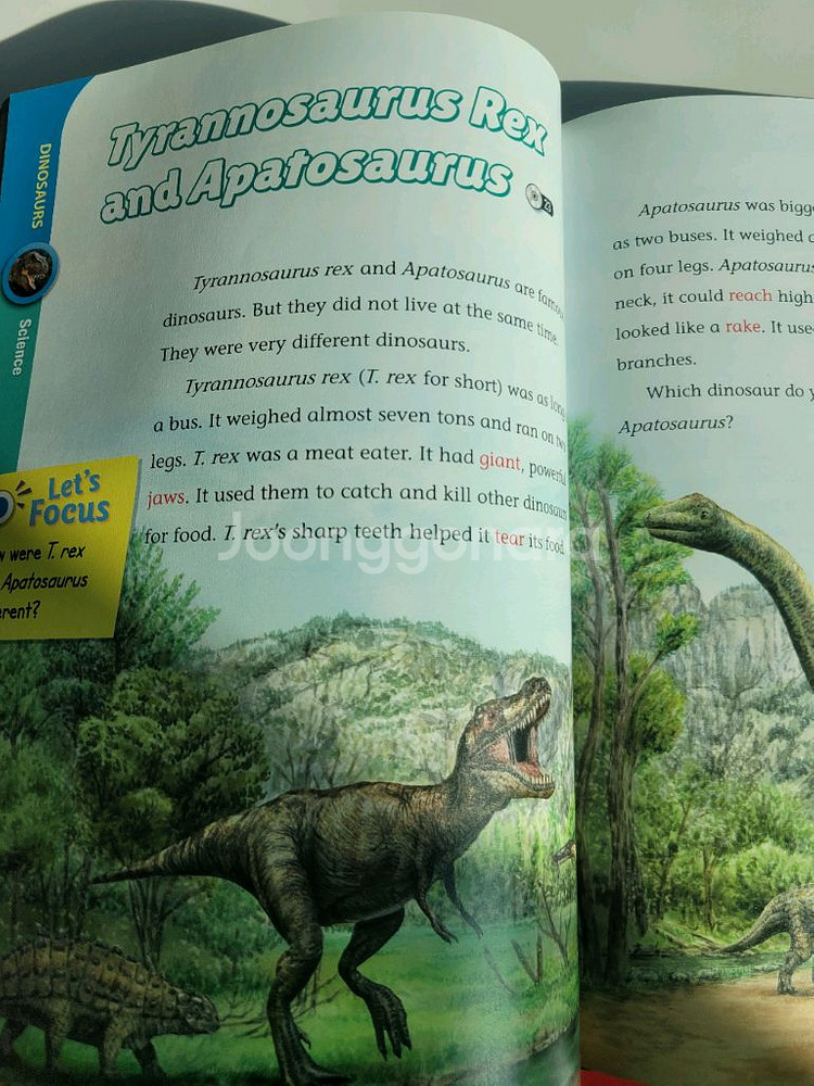 insight link subject link 인사이트링크 서브젝트링크--1