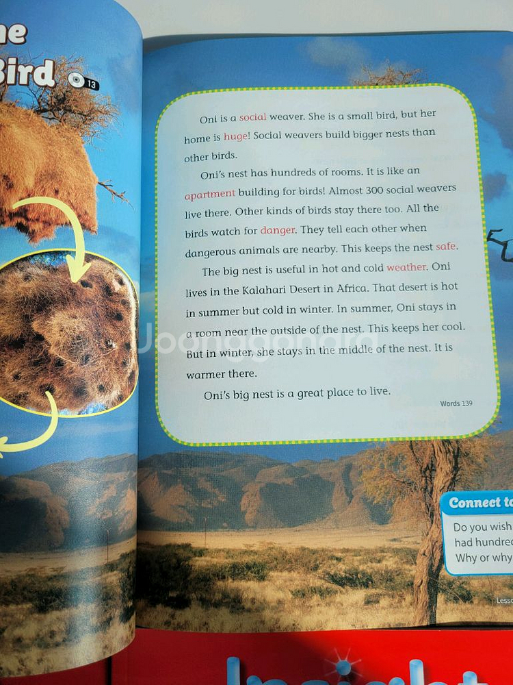 insight link subject link 인사이트링크 서브젝트링크--2