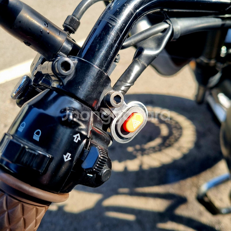 19년식 가와사키 w800 스트릿--5