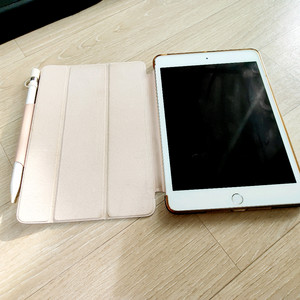 아이패드 미니 5세대 256기가 셀룰러 +애플펜슬