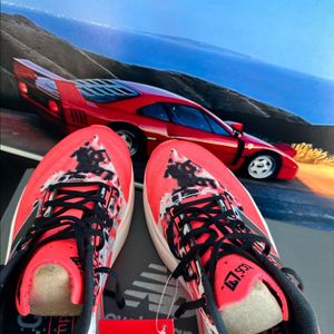 [240]뉴발란스 TCS 런던 마라톤 에디션