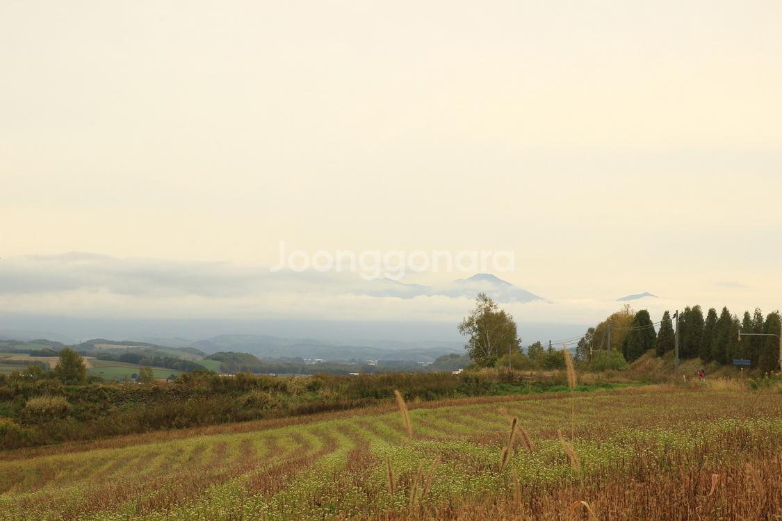 캐논 EOS 600D + 탐론 17-50mm 렌즈 + 캐논 50mm 렌즈--8