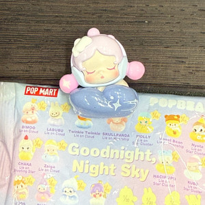 팝마트 좋은꿈꿔 팝빈 시크릿 스컬판다 피규어
