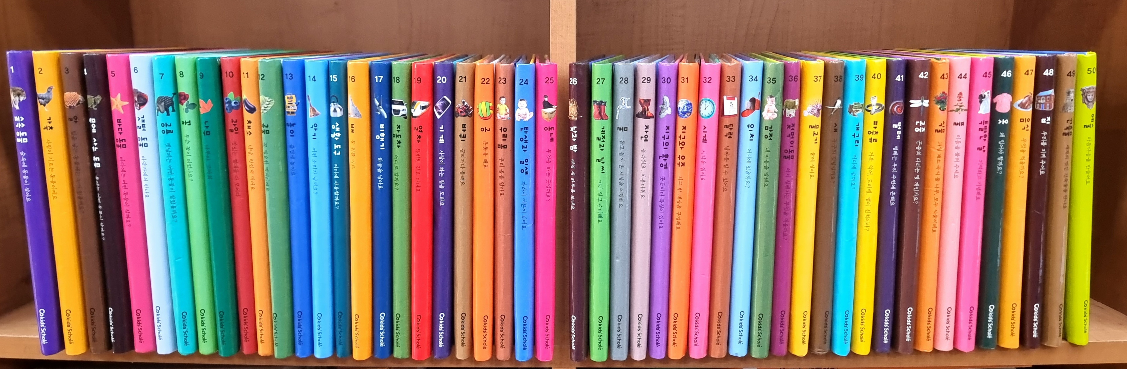 마이퍼스트월드50권/새책수준