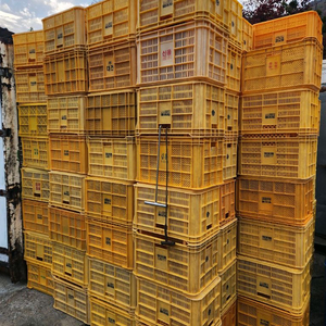 과일박스 콘티박스 이미지