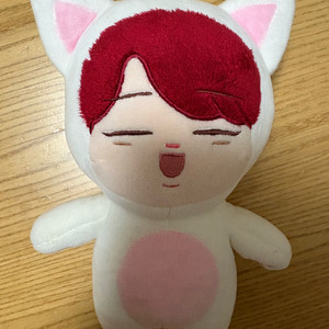 방탄소년단 BTS 지민 인형 찜냥이