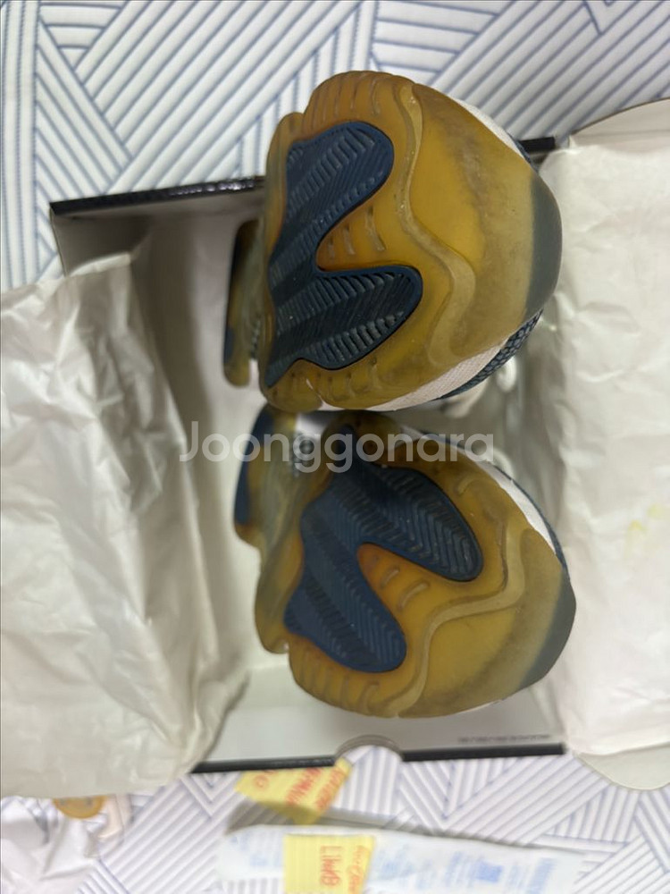 조던11 남뱀 로우--1