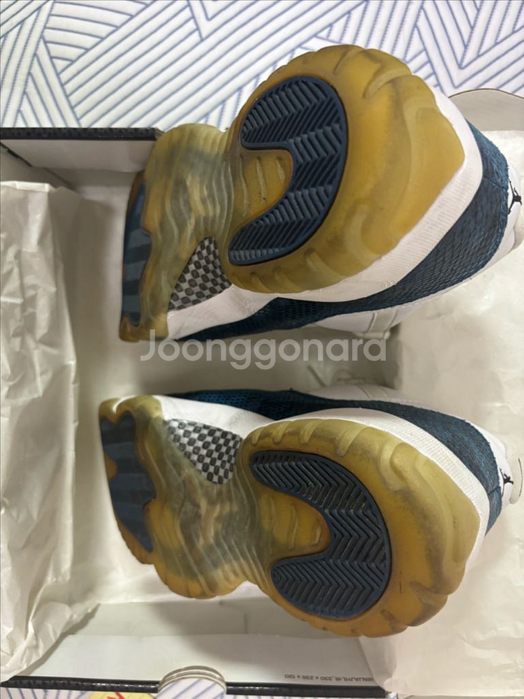 조던11 남뱀 로우--3