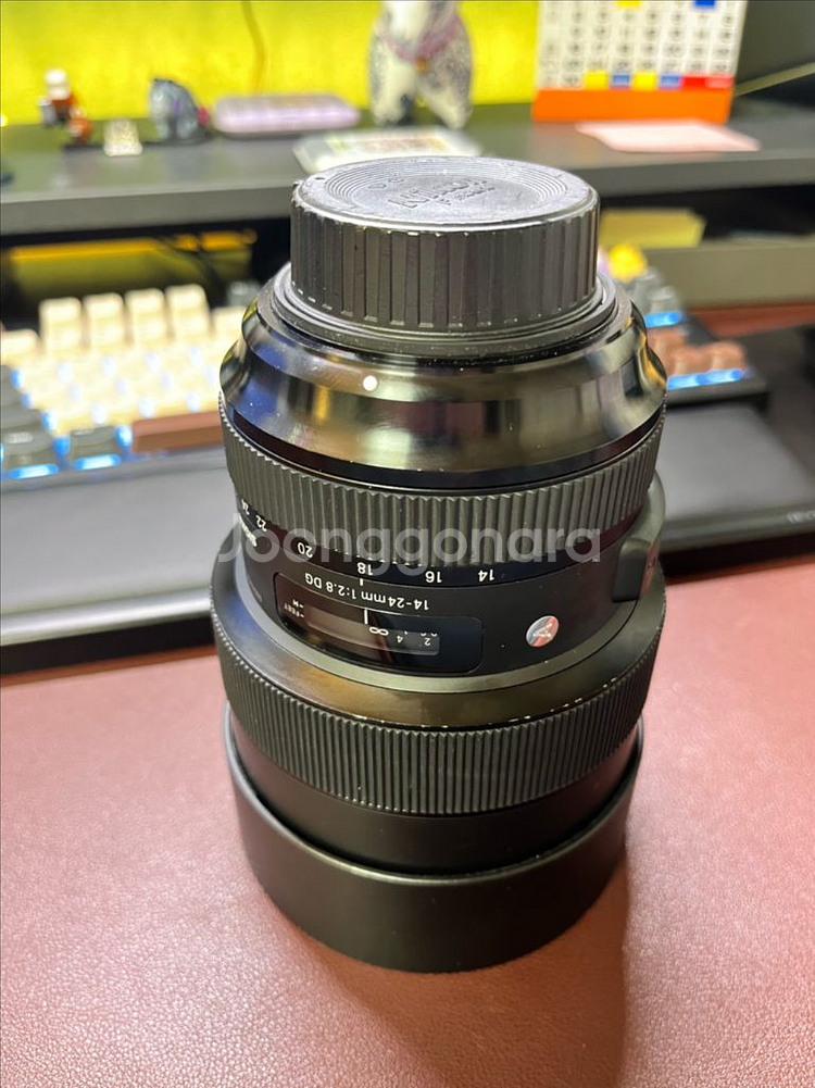 시그마 14-24mm F2.8 DG 니콘 마운트--2