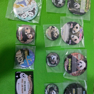 바오패밀리) 판다아카데미핀뱃지8종+루이후이돌뱃지1종+그외3종