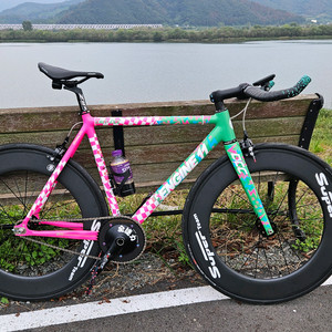 엔진11dcc 픽시자전거 (창원)