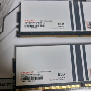 asgard DDR5 16GBx2 램 메모리 6800