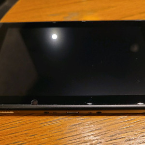 급처) 닌텐도 스위치 동물의 숲 에디션 급처합니다.