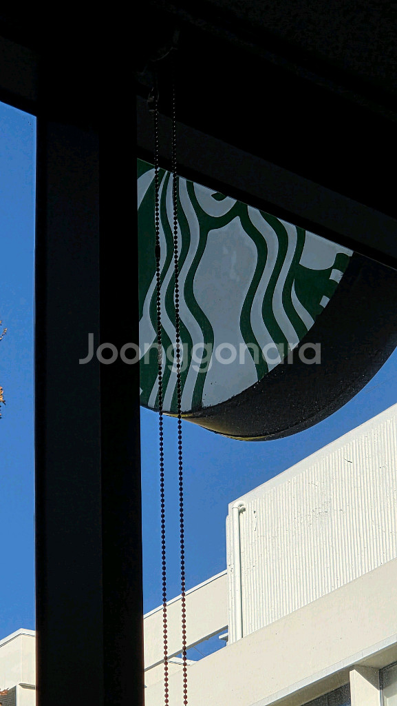 스타벅스 프리퀀시 일반 1장 팝니다--0