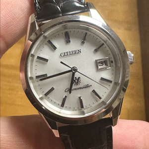 더 시티즌 AQ4040-06A