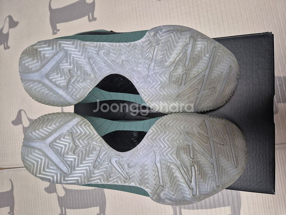 나이키 코비4 프로트로 265미리--3