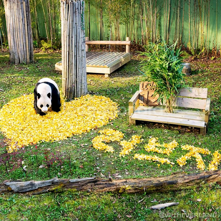 에버랜드 자유이용권 종일권 오후권--0