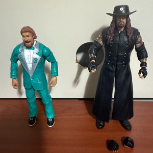 WWE 액션 피규어