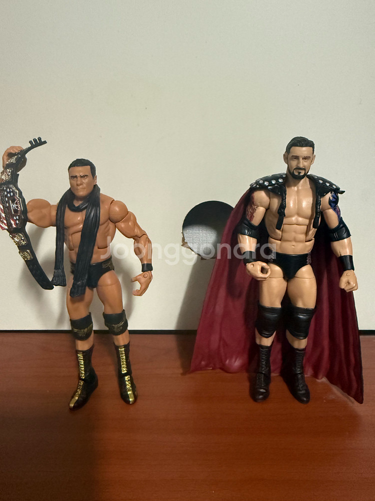 WWE 액션 피규어--1