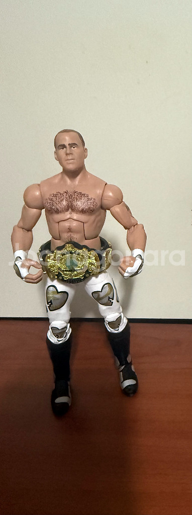 WWE 액션 피규어--4