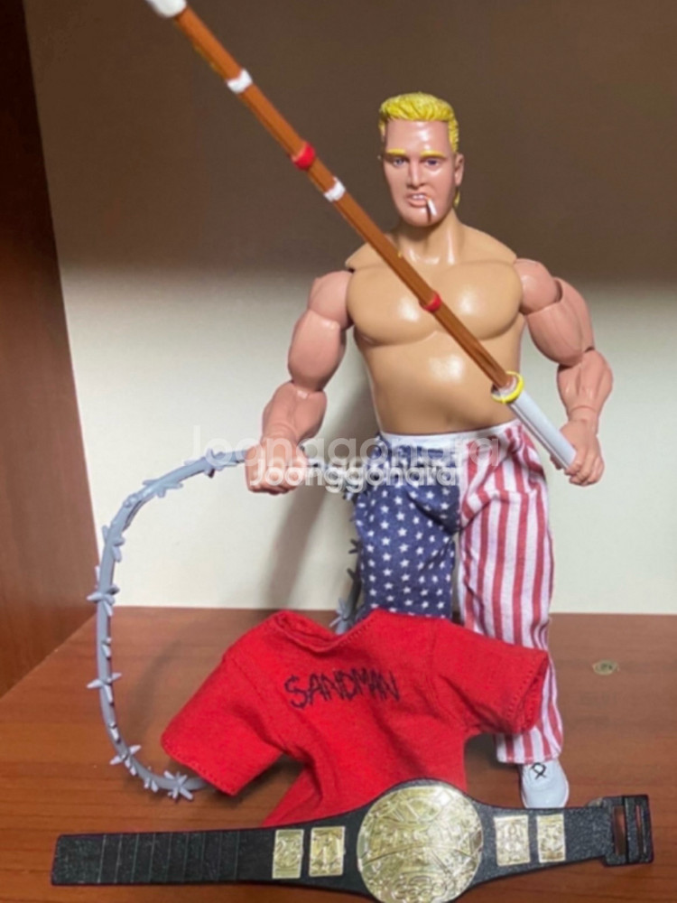 WWE 액션 피규어--7