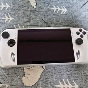 로그 얼라이 ROG Ally 화이트 + SSD 2TB