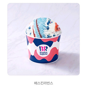 배스킨라빈스 쿼터 베스킨 쿼터 아이스크림 20% 배라