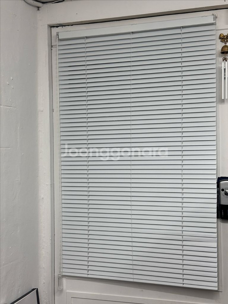 블라인드 화이트 77*120--0