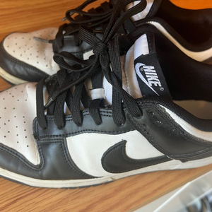 나이키 범고래 275