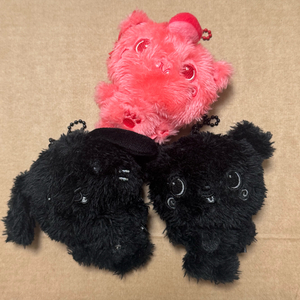 엔시티위시 컬러 위시돌 쿠리 룐룐 팡이